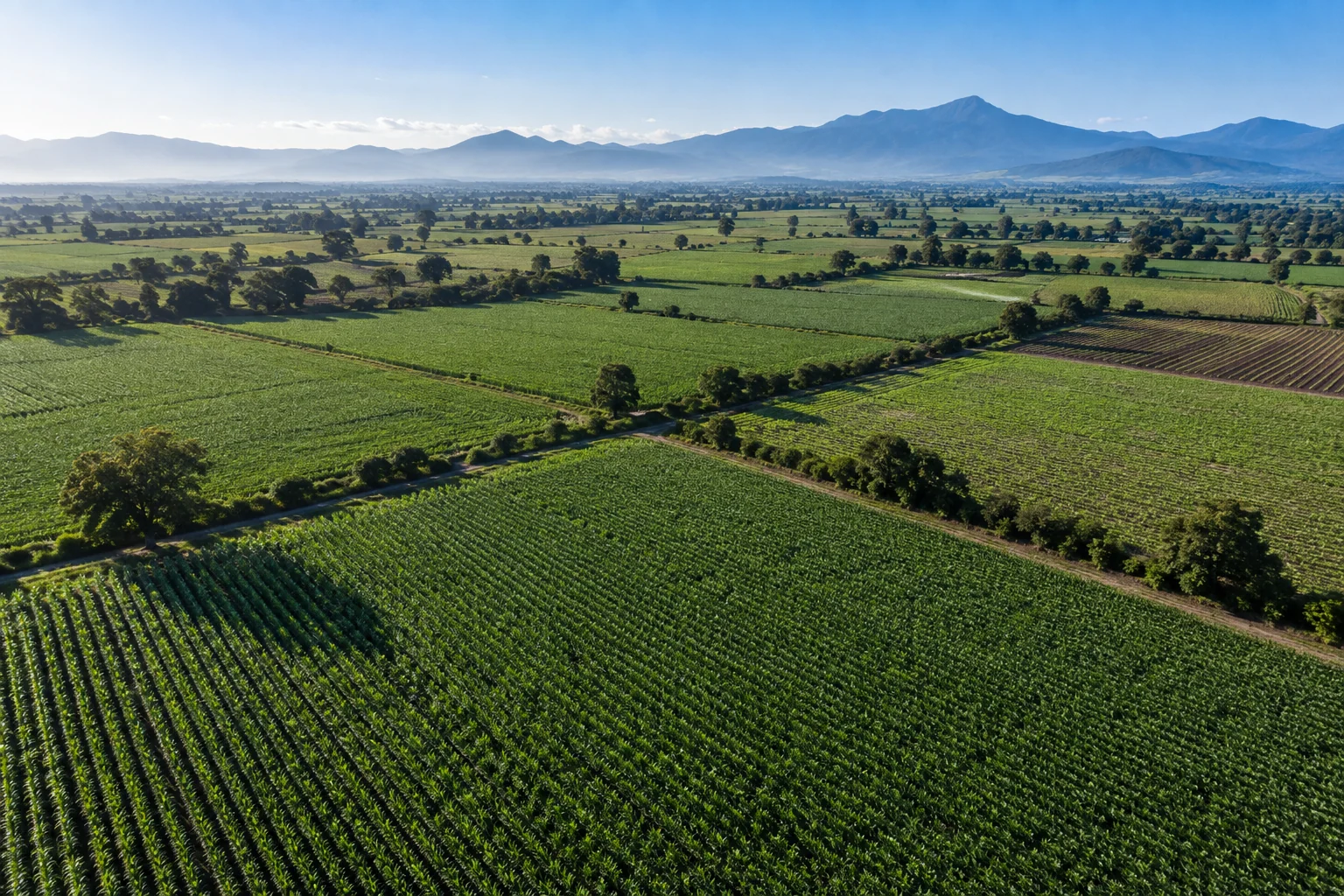 Vista aérea ilustrativa de una cartera de parcelas agrícolas